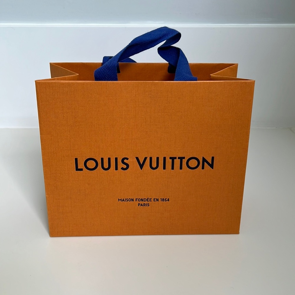 Louis Vuitton shopping bag